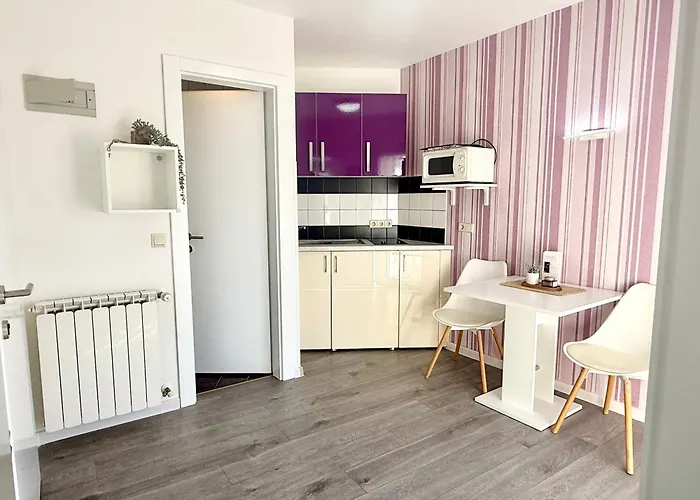 Apartments Antic